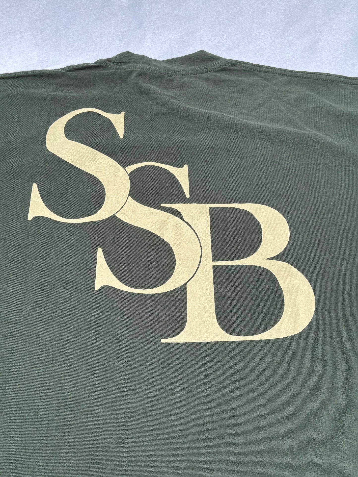 “In all aspects of life” Ivory Green T-Shirt
